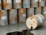 Нефтяные компании РФ намерены увеличить добычу нефти в Египте