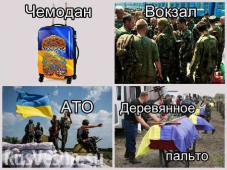 Очередной плевок киевского режима в лицо своим защитникам: с участников «АТО» взимают деньги… на «АТО»