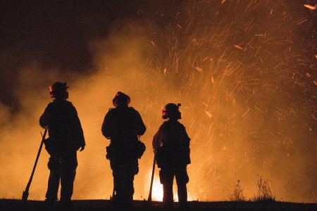 Власти США за гроши привлекли 4 тысячи заключённых к борьбе с лесными пожарами