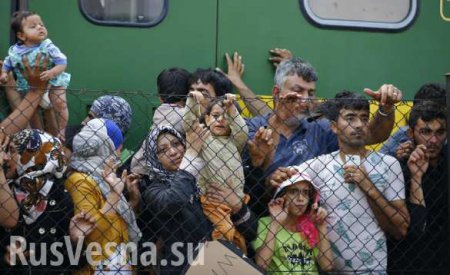 Миграционный кризис: Устоит ли Европа? (ВИДЕО)