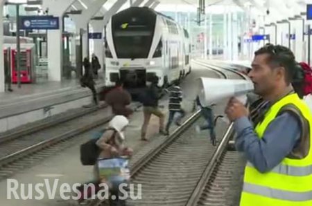 Толпы беженцев в Австрии пытаются сесть на поезд в Германию (ВИДЕО)