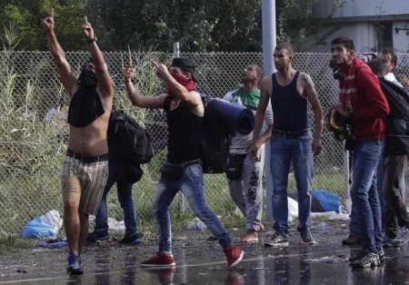 Нелегальные мигранты штурмуют границу Венгрии