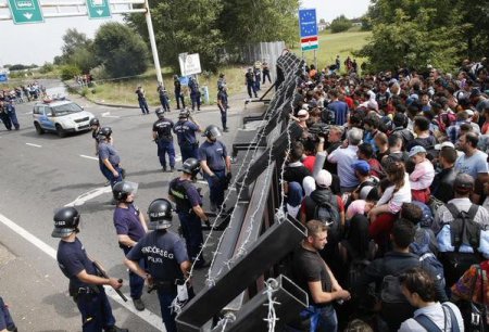 Нелегальные мигранты штурмуют границу Венгрии