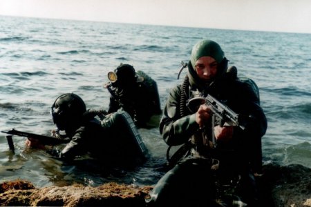 Как боевые пловцы Черноморского флота спасли ангольский порт от взрыва