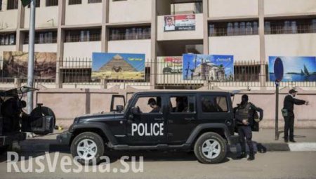 В Египте ликвидированы организаторы теракта у итальянского консульства