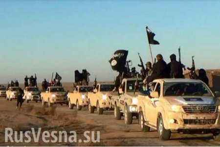 Дорогая экипировка и новенькие Toyota: чем пользуются боевики ИГИЛ (ВИДЕО)