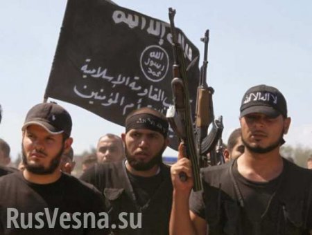 Через Одессу идет переброска боевиков ИГИЛ в зону «АТО»