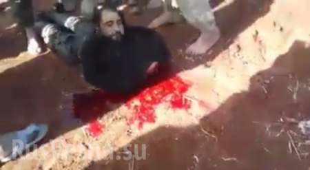Шокирующие кадры: террористы Ан-Нусры отрезали головы своим «побратимам», заподозрив в связях с конкурентами (ФОТО строго 21+)