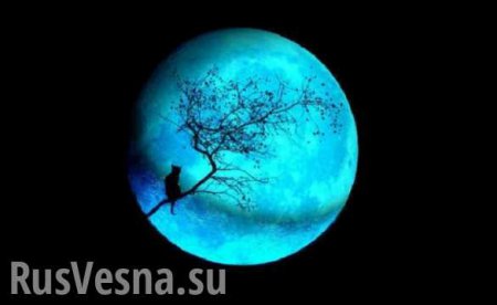 Захват Вселенной Россия начнет с Луны
