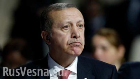 Свобода слова по-турецки: при Эрдогане за оскорбление президента попали под суд более 250 человек (ВИДЕО)