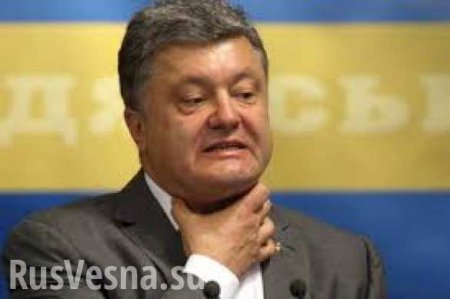 Унитарная Украина и выполнение Минских договоренностей — вещи несовместимые, — депутат ДНР