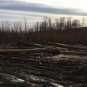 После нас хоть потоп: на Закарпатье массово уничтожают леса (ФОТО)