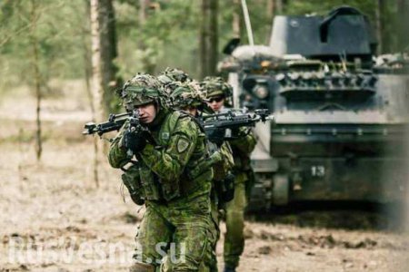 Литва учится воевать: с кем и зачем? (ВИДЕО)