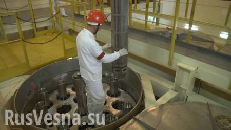 На Запорожскую АЭС начали загружать топливо Westinghouse (ФОТО)