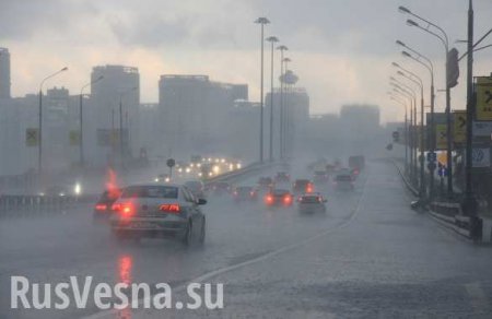 В Москве Яуза вышла из берегов, дожди в столице продлятся еще сутки