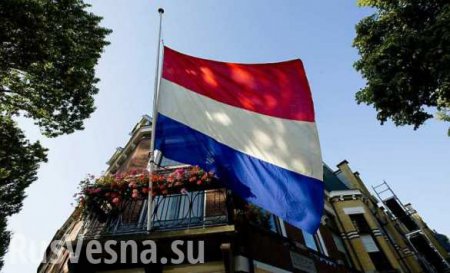 В Нидерландах готовят выход из ЕС и обещают снять санкции против России