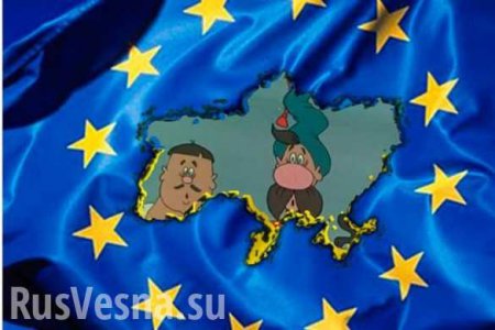 Зрада: Украине рано даже заикаться о членстве в ЕС, — депутат бундестага