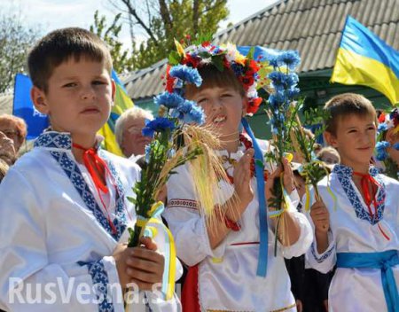 «Украинское образование»: маленькие сельские школы массово закрывают (ВИДЕО)