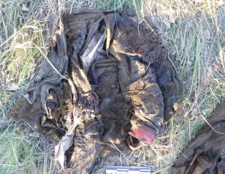 В Луганской области нашли захоронение убитых мужчин со следами пыток