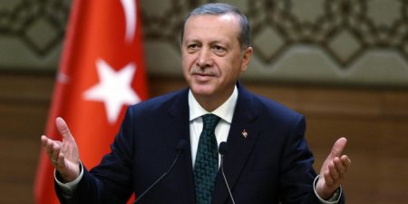 Эрдоган: Турция не признавала существующие границы добровольно