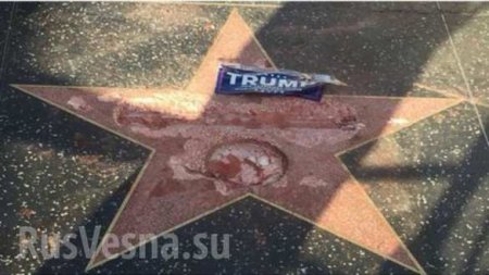 Звезду Трампа на Аллее славы в Голливуде разбили кувалдой (+ВИДЕО, ФОТО)