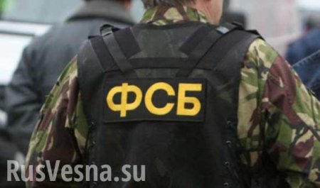 Стало известно о прошлых «успехах» террористов, задержанных в Санкт-Петербурге