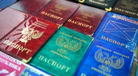 Документы предъявим: депутат Госдумы предложил выдавать паспорта России жит ...