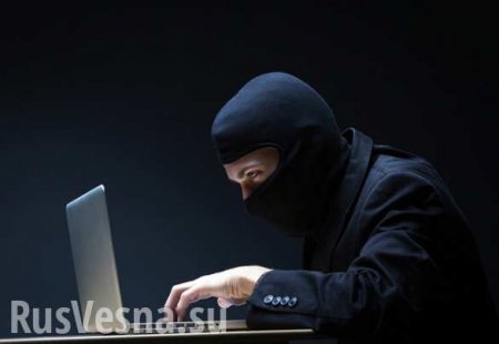 Bild оценил гонорар «русских хакеров» в 800 рублей в месяц
