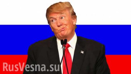 Путеводитель по советникам Трампа: от «отселения Сибири» до «газовой блокады России»