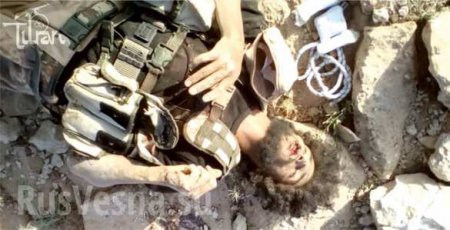 «Спецназ из СССР» наводит ужас на ИГИЛ у Пальмиры: отрезанные головы террористов «украшают» пустыню (ФОТО 21+)