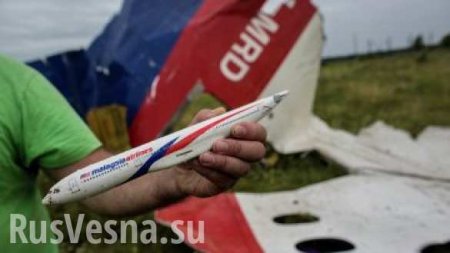 МИД РФ прокомментировал заявление пропагандистов из Bellingcat по крушению Boeing-777 над Донбассом
