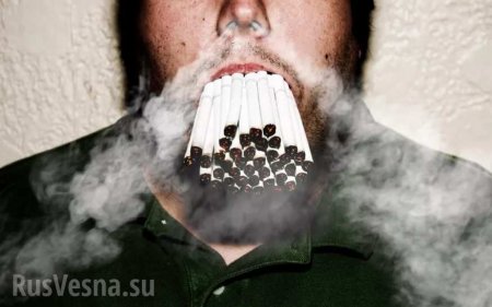 Украина «завалила» Европу контрафактными сигаретами
