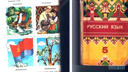 Сельскую библиотекаршу в Одесской области уволили по доносу за выдачу румынским детям советского учебника русского языка