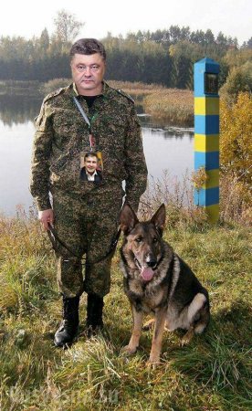 США собираются «впихнуть» Саакашвили на Украину в качестве своего спецпредставителя, — источник | Русская весна