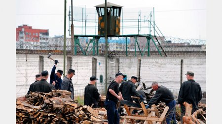 Колхозы строгого режима: как в Белоруссии собираются трудоустраивать бывших заключённых