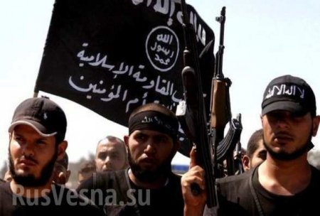 По данным разведки: ИГИЛ просит «Аль-Каиду» о помощи в прорыве «акербатского котла» | Русская весна