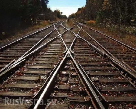 Почему Россия пускает поезда в обход Украины | Русская весна