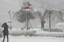 В Киеве из-за снегопада падают деревья