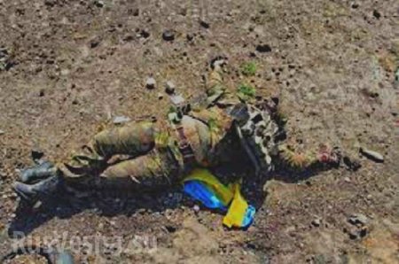 Крупные потери ВСУ на Донбассе — подробности (+ФОТО)