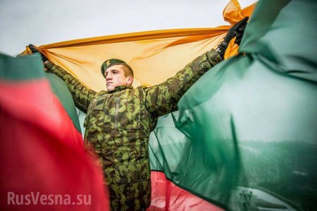НАТО требует больше «литовского мяса»