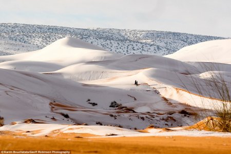 Сахару второй год подряд накрывает снегом