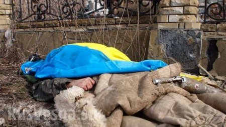 ВАЖНО: Два украинских диверсанта погибли, трое ранены при попытке прорыва линии фронта