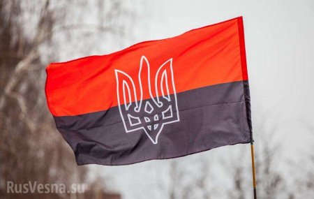 Украина: Депутат предложил неонацисту «померяться патриотизмом» из-за флага УПА (ВИДЕО 18+)