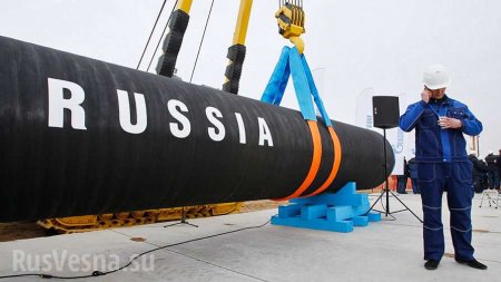 «Ну не идиоты ли?»: Как Украина пытается препятствовать строительству «Северного потока — 2»