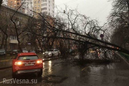 «Новую Москву» накрыла вторая волна урагана