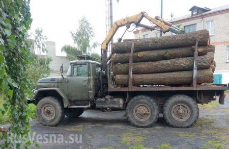 Комбриг ВСУ заставляет подчинённых воровать лес, древесину и металлолом