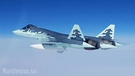 В США оценили шансы американского «короля неба» в воздушном бою с Су-57
