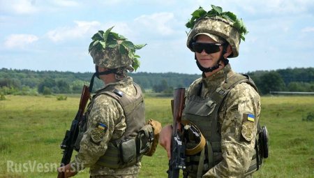«Киев доиграется в оловянных солдатиков», — в Крыму оценили «манёвры» ВСУ в Херсонской области