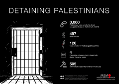 Палестинскую писательницу содержат в израильской тюрьме