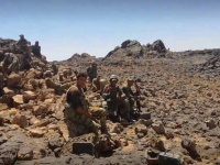 Сирийская армия отбила у ИГ несколько позиций на плато Ас-Сафа